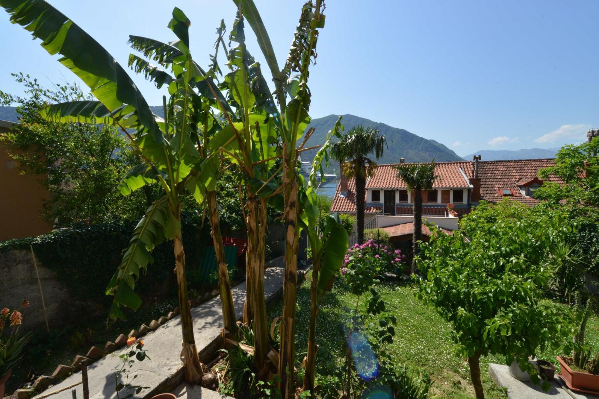 Apartment Popovic 2