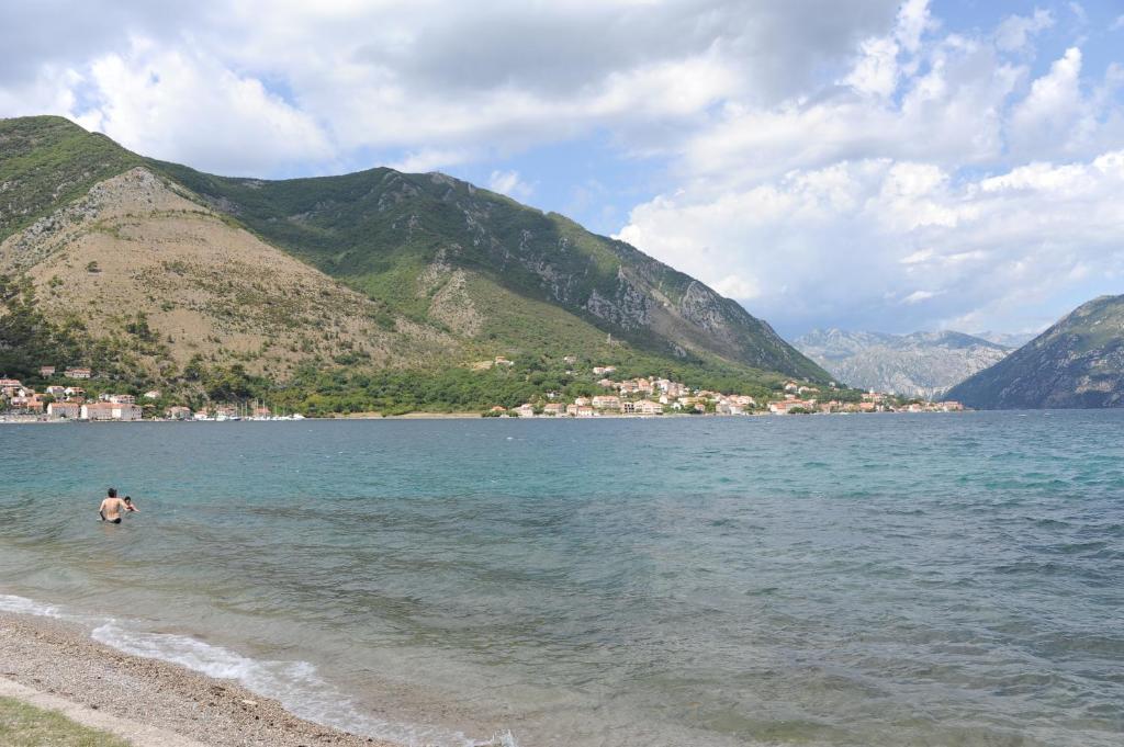 Apartment Popovic 2 *