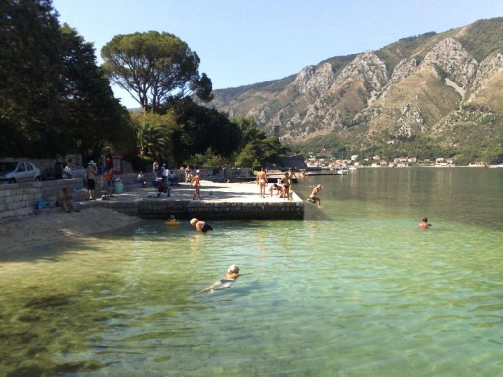 Popovic 2 * Kotor