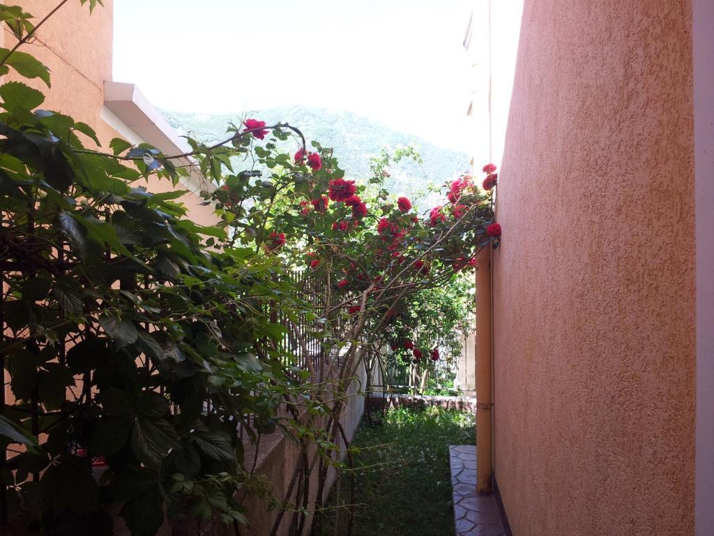 Popovic 2 Apartment Kotor
